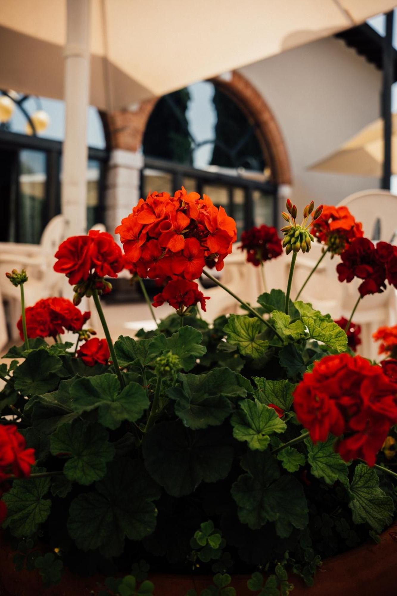Albergo La Meridiana Castelnuovo del Garda Exteriör bild